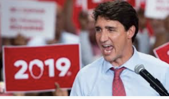 Screen Shot 2019-10-13 at 1.19.16 PM