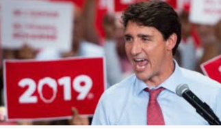 Screen Shot 2019-10-13 at 1.19.16 PM